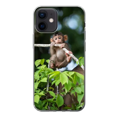 Produktbild von MuchoWow® Handyhülle Schutzhülle Hülle für iPhone 12 Baby - Affe - Äste Silikon Softcase Handy Hülle - Schutzhülle