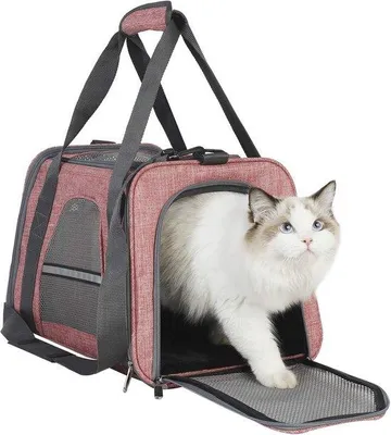 Produktbild von Famanu Transportbox für Katzen und Hunde - Faltbar mit verstellbarer Schulterriemen