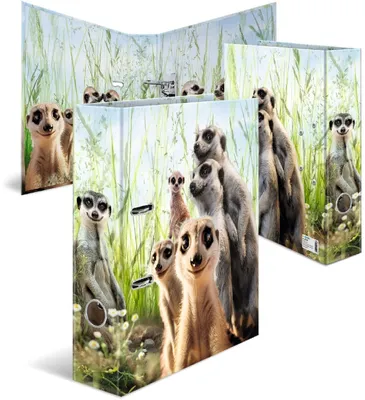 Immagine prodotto di HERMA 20048 Cartella a motivi HERMA "Meerkat", DIN A4, larghezza dorso: 70 mm