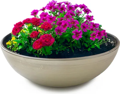 Image de Jardinière pour l'extérieur Jardinière décorative ronde champagne beige 20 cm