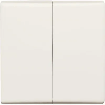 Imagen del producto de Wippe WS 2105-32 Busch-Jäger 1731-0-1783 4011395910504