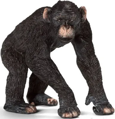 Produktbild von Schleich 14678, Mehrfarben