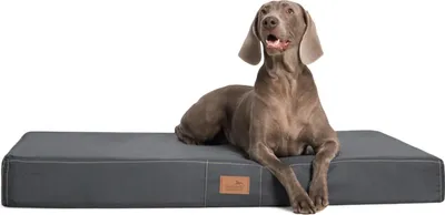 Productafbeelding van tierlando® Orthopedisch hondenbed HUGO Ortho Plus, verkrijgbaar in de maten M, L, XL en XXL, van 80 tot 150 cm - Afmetingen: 120x90 cm | Kleur: 02 Grafiet