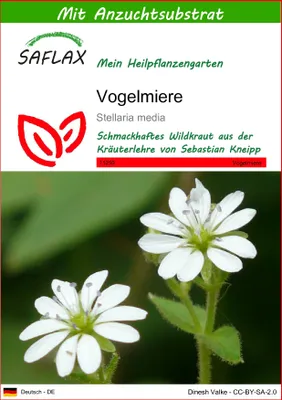 Produktbild von SAFLAX - Vogelmiere - Stellaria media - 1000 Samen - Mit keimfreiem Anzuchtsubstrat