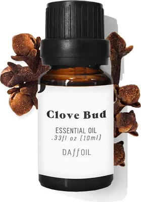 Image de DAFFOIL | DAFFOIL CLOVE BUD | Aromatherapy