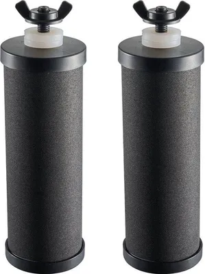 Image de Filtres à charbon actif de remplacement, faciles à installer, lot de 2, couleur noire, compatibles avec la plupart des systèmes de filtration d'eau par gravité