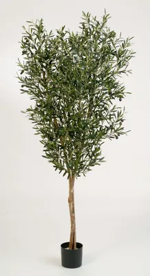 Produktbild von artplants.de Deko Olivenbaum, 1976 Blätter, 120cm - künstlicher Baum - Olivenbaum künstlich