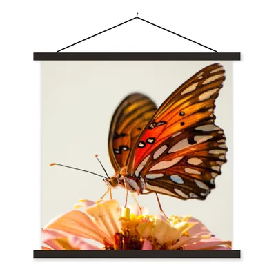 Produktbild von MuchoWow® Textilposter Schmetterling - Orange - Blume - Insekten 60x60 cm mit schwarzem Rahmen - Posteraufhänger