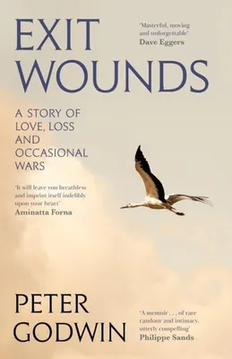 Immagine prodotto di Exit Wounds