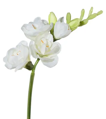 Produktbild von Kunstblume FREESIE ca 50cm. Freesien, Schwertlilie. WEISS