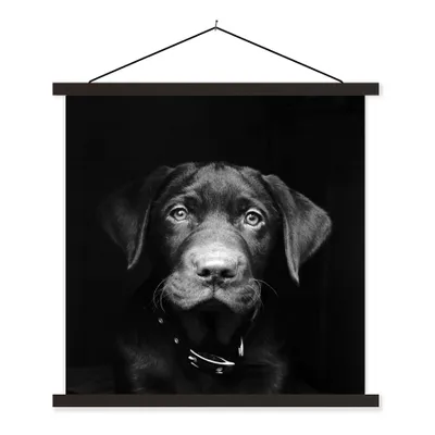 Produktbild von MuchoWow® Textilposter Nahaufnahme Labrador Welpe vor schwarzem Hintergrund in schwarz und weiß 60x60 cm mit schwarzem Rahmen - Posteraufhänger