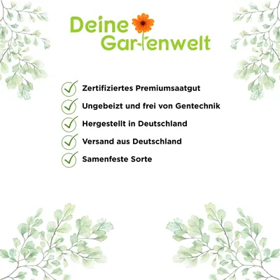Produktbild von Kürbis Sweet Dumpling Samen - Cucurbita pepo - Kürbissamen - Gemüsesamen - Saatgut für 10 Pflanzen