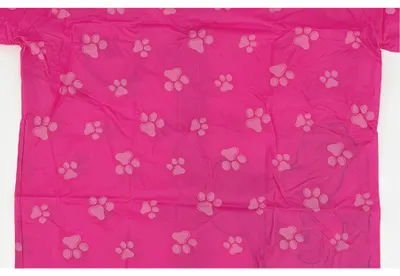 Immagine prodotto di Mackintosh da bambina Paw Patrol Skye, taglia:98-104