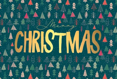 Produktbild von Weihnachten Weihnachtskarte mit Briefumschlag verschiedene Tannenbäume Merry Christmas