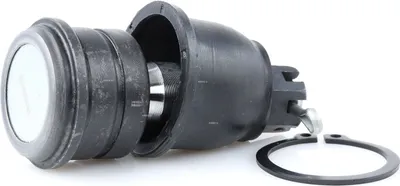 Produktbild von RIDEX Traggelenk Vorne Unten für HONDA Jazz II Schrägheck (GD, GE3, GE2) 2462S0366