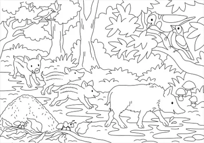 Zdjęcie produktu dla Mein schönstes Malbuch. Wald und Wiese