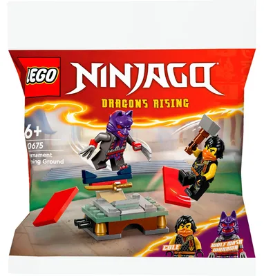 Image de Lego Ninjago Tournoi : Terrain d'Entraînement