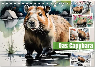 Produktbild von Das Capybara (Tischkalender 2026 DIN A5 quer), CALVENDO Monatskalender