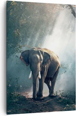 Produktbild von Bild auf Leinwand - Leinwandbild - Einteilig - elefant natur - 70x100cm - Wand Bild - Wanddeko - Wandbilder - Leinwanddruck - Kunstdruck - Wanddekoration - Leinwand bilder - Wandbild - PA70x100-3972