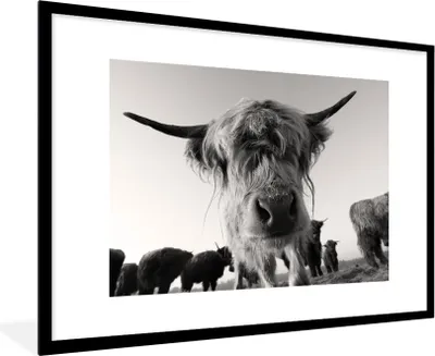 Produktbild von MuchoWow® MuchoWow® Gerahmtes Poster Schottisches Hochlandrind - Schwarz - Weiß - Tiere 90x60 cm - Poster mit zchwarzem Bilderrahmen - Wanddekoration - Fotos