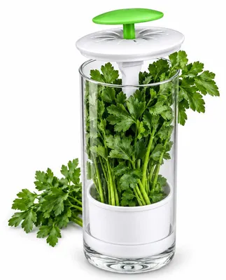 Produktbild von Kräuter Frischhaltebox, Kräuterbehälter für den Kühlschrank, Kräuter Aufbewahrungsbox mit Deckel, Weiß