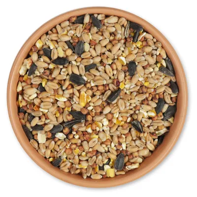 Produktbild von Gifts4Nature - 5 kg Streufutter für Gartenvögel