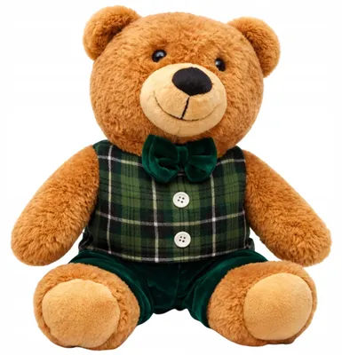 Image de EDIBAZZAR | Ours en peluche, mascotte, doudou, cadeau, ours en peluche vêtu d'un costume à carreaux verts, 30 cm