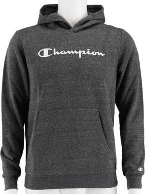 Produktbild von Sweatshirts Champion Big Logo Print 305358F20EM516