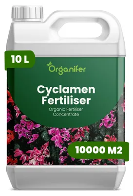 Obrázok produktu pre Tekuté hnojivo pre cyklámeny, 10 litrov, vzorec NPK 2-1-8 – Vhodné pre kvitnúce rastliny – Pre zdravé listy a bohaté kvitnutie – Podporuje rast koreňov a vitalitu – Organický produkt