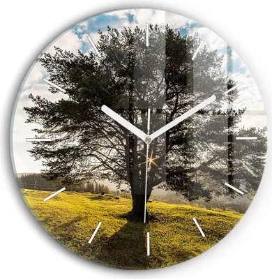 Produktbild von Wallfluent Wanduhr – Stilles Quarzuhrwerk - Uhr Dekoration Wohnzimmer Schlafzimmer Küche - Zifferblatt mit Striche - weiße Zeiger - 30 cm - Baum auf einem Hügel