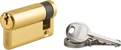 Image de Demi-cylindre de serrure Ecopro, 50x10mm, anti-arrachement, 3 clés, laiton - SP