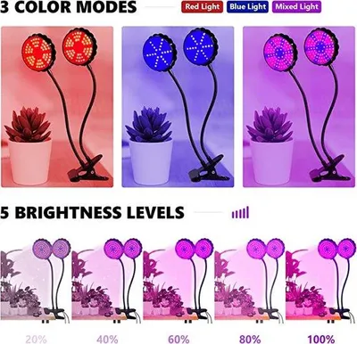 Produktbild von Pflanzenlampe +++ Set