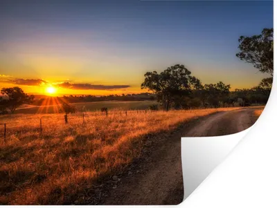 Produktbild von MuchoWow® Wandtattoo Wandsticker Wandaufkleber Sonne - Gras - Baum - Natur 80x60 cm Selbstklebend und Repositionierbar - Faltenfrei