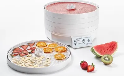 Immagine prodotto di Snackmaker FD500 essiccatore di frutta digitale EziDri