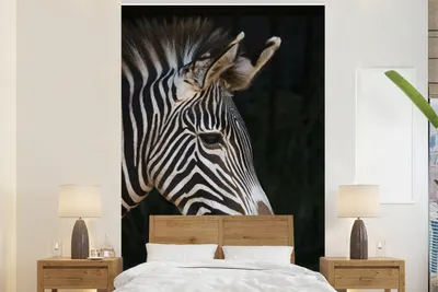 Produktbild von MuchoWow® Fototapete für Wohnzimmer oder Schlafzimmer Wandtapete Vinyl Motivtapete Nahaufnahme eines Zebras auf schwarzem Hintergrund - 195x300 cm - Das Hintergrundbild