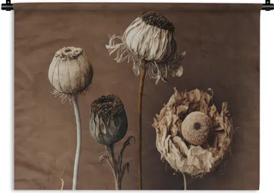 Produktbild von MuchoWow® Wandteppich Wandbehang Blumen - Pflanzen - Trockenblumen - Braun 90x67.5 cm Tapisserie Dekoration Wandtuch - Fototeppich - Wand-Skulpturen