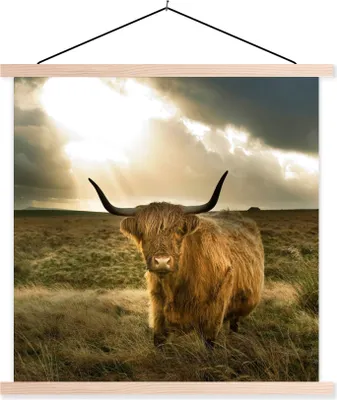 Produktbild von MuchoWow® Textilposter Schottisches Hochlandrind - Sonne - Tiere 60x60 cm mit holzfarbenen Rahmen - Wanddekoration