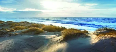 Produktbild von Leinwandbild - Motiv: Strand - 90 x 200cm