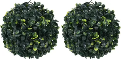 Obrázek produktu pro Umělé buxus koule 2 ks 22 cm