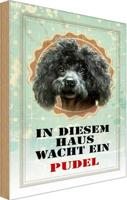 Produktbild von vianmo Holzschild 18x12 cm Hund in diesem Haus wacht ein Pudel Tier Haustier