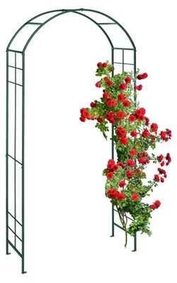 Produktbild von Rosenbogen Kletterpflanzenbogen - Metall - 224 x 110 x 41 cm - Grün - Für Rosen und Kletterpflanzen im Garten