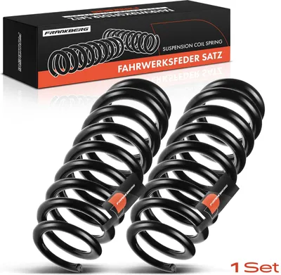Produktbild von Frankberg 2x Fahrwerksfeder Hinterachse für BMW X1 E84 2.0L 2009-2015