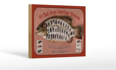 Produktbild von Holzschild Fisch 18x12cm 39 Fish from american Waters