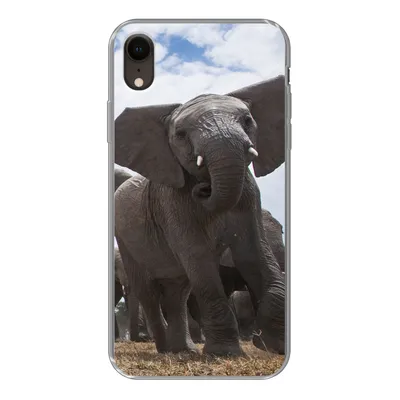 Produktbild von MuchoWow® Handyhülle Schutzhülle Hülle für iPhone XR Elefant - Tiere - Natur - Flachland Silikon Softcase Handy Hülle - Schutzdeckel