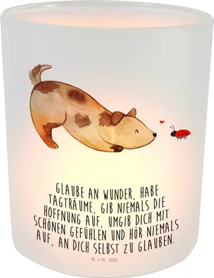 Produktbild von Mr. & Mrs. Panda Kerzenhalter Glas Hund Marienkäfer - Transparent - Geschenk, Windlicht, Sprüche, Mischlinghund, Teelichthalter, Zuversichtlich, Positiv, Hunde
