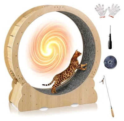 Produktbild von Katzenlaufrad 101 cm, großes Katzenlaufband mit abnehmbarem Teppich und Katzenangel, Verriegelungsmechanismus, leises Katzenlaufband zum Laufen, Gehen und Trainieren