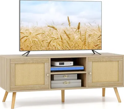 Produktbild von COSTWAY TV-Schrank Holz Lowboard für Fernseher bis zu 55 Zoll, Fernsehtisch mit 2 Türen & offenen Fächern, Fernsehschrank TV-Regal für Wohnzimmer 120 x 40 x 48,5 cm