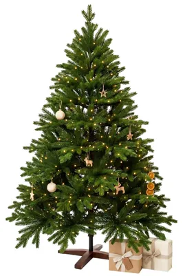 Immagine prodotto di Albero di Natale NORDMANN LED 210 in polietilene verde 142x210 cm