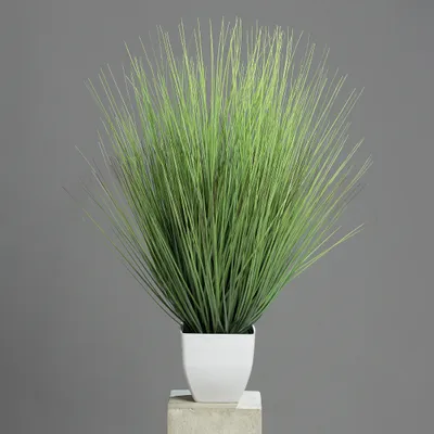 Produktbild von Isolepsisgras im weißen Topf 80cm Kunstgras Kunstpflanze künstliches Gras