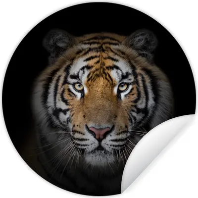Produktbild von MuchoWow® Runde Wandtattoo - Wandsticker Tapete Aufkleber Tiger - Wildtiere - Porträt - Schwarz - Tiere Ø 50 cm Selbstklebend und Repositionierbar - Wandaufkleber - Kreis - Wand Kreis - Wand Bild - Foto Tapete - Selbstklebende - Wohnzimmerdekoration - Wand Dekoration - Kinderzimmer